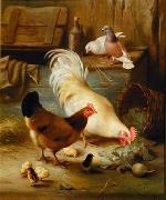 unknow artist Poultry 091 Spain oil painting artist